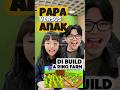 papa vs anak, di Build a Ring Farm!