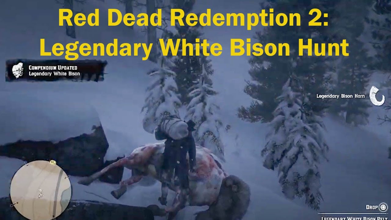 Red Dead Redemption 2: Legendary White Bison Hunt and Location - YouTube