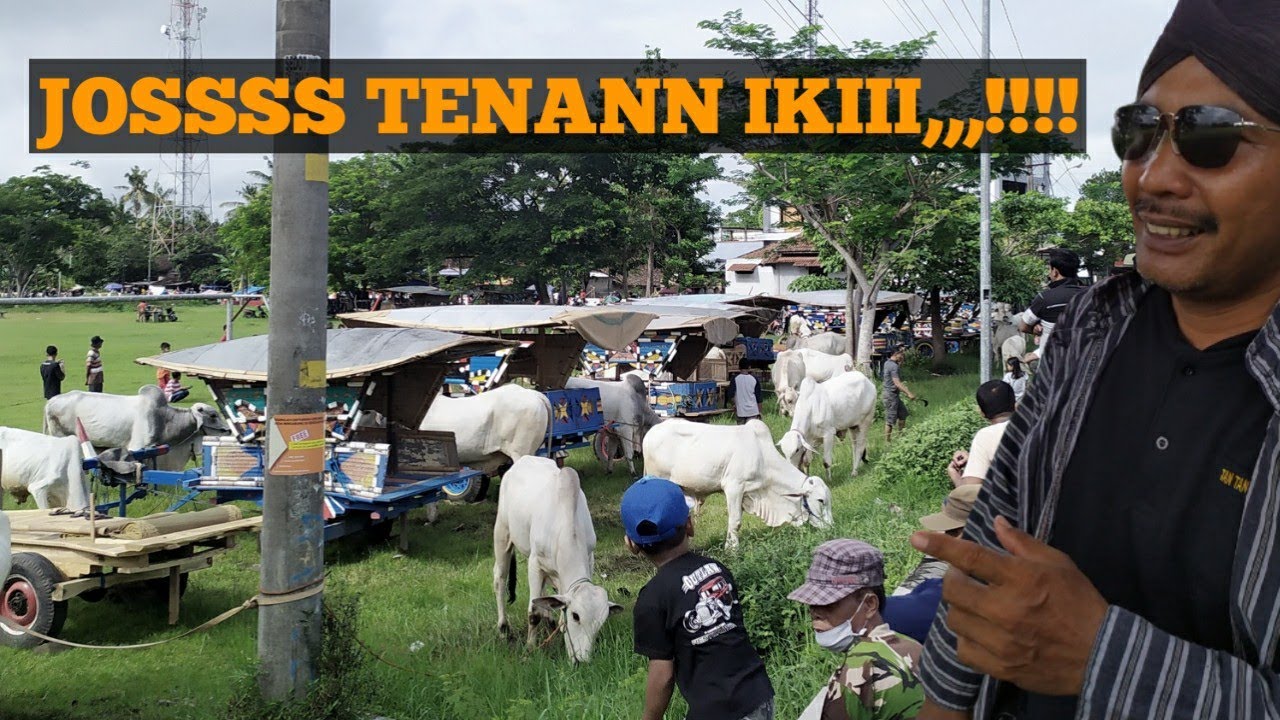 Kumpulan Rutin Gerobak Sapi BANTUL (minggu pon)