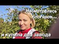 Запускаю завод. В Новороссийск к Демьяновне. Обзор цен в ЛЕНТЕ. Растения в Леруа Мерлен