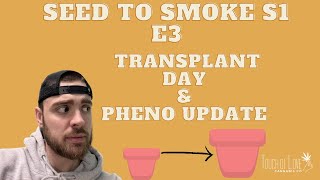 Seed To Smoke S1 - Ep 3 (Transplant Day)