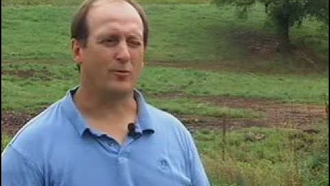 VIDEO: Lightning Kills Cows 6pm 7/23/2010
