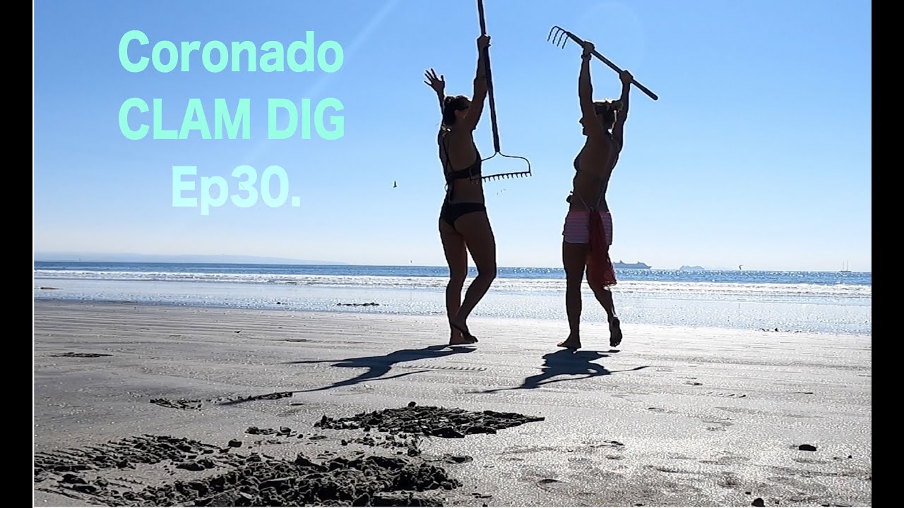 Dig & Cook Mission: Pismo Clams on Coronado Beach, San Diego. Ep30.