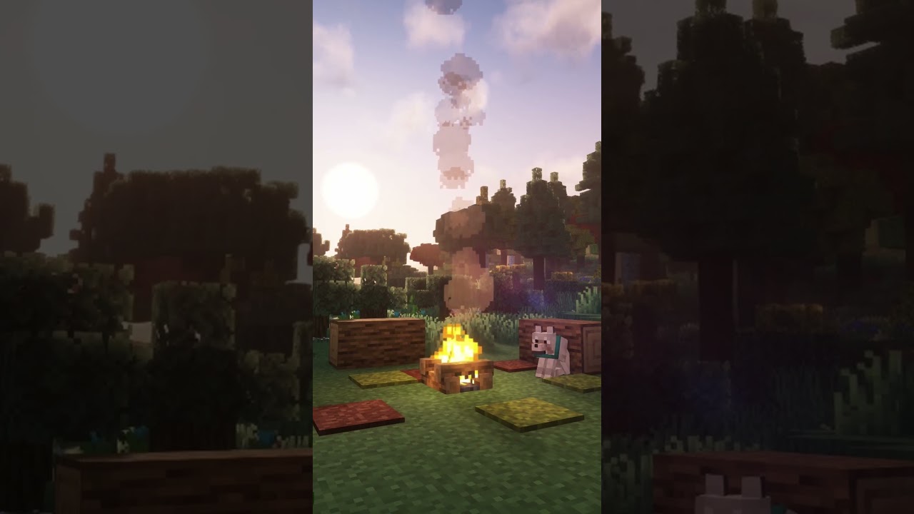 watch the sunrise with me 🌞 