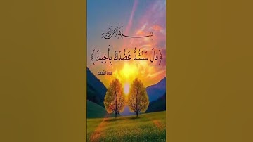 #القارء #القران #دويتو #تيكتوك #تلاوات #اسلامي