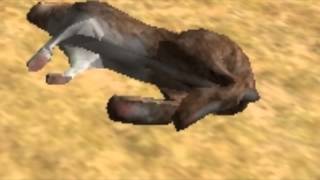 Urso mais rápido do mundo! - WolfQuest