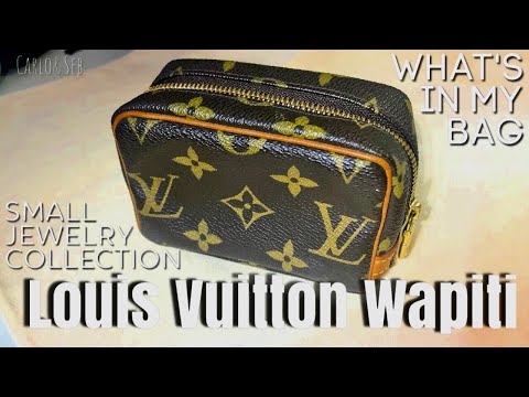 Louis Vuitton Wapity Case Multicolor Blanc- Whats fits inside