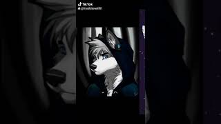 favorite furry photos 😻