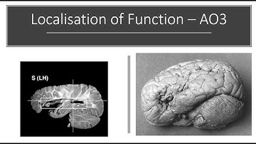 Localisation of Function AO3