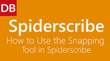 How To Use the Snapping Tool | Spiderscribe Mind Mapping Online