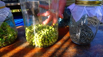 Investing in Sustainable Permaculture Design for Farm Resilience