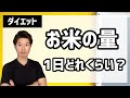 お米を食べるダイエット、1日のお米の適量は？