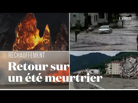 Vidéo: Le Réchauffement Climatique Allonge L'été Et La Saison Des Ravageurs