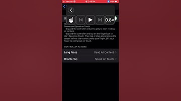 iOS 13 Speech Controller