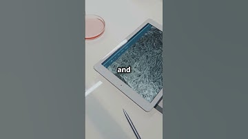 Raspberry Pi + Arduino = Next-Level Projects