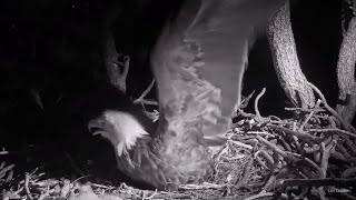 FOBBV🦅Shadow's Second Night Shift🌙Fiona Stops By: Where Is Jackie❓🐿2024-04-08 by Cali Condor 10,581 views 4 weeks ago 8 minutes, 39 seconds