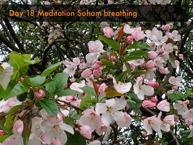 Day 18 Meditation Soham breathing