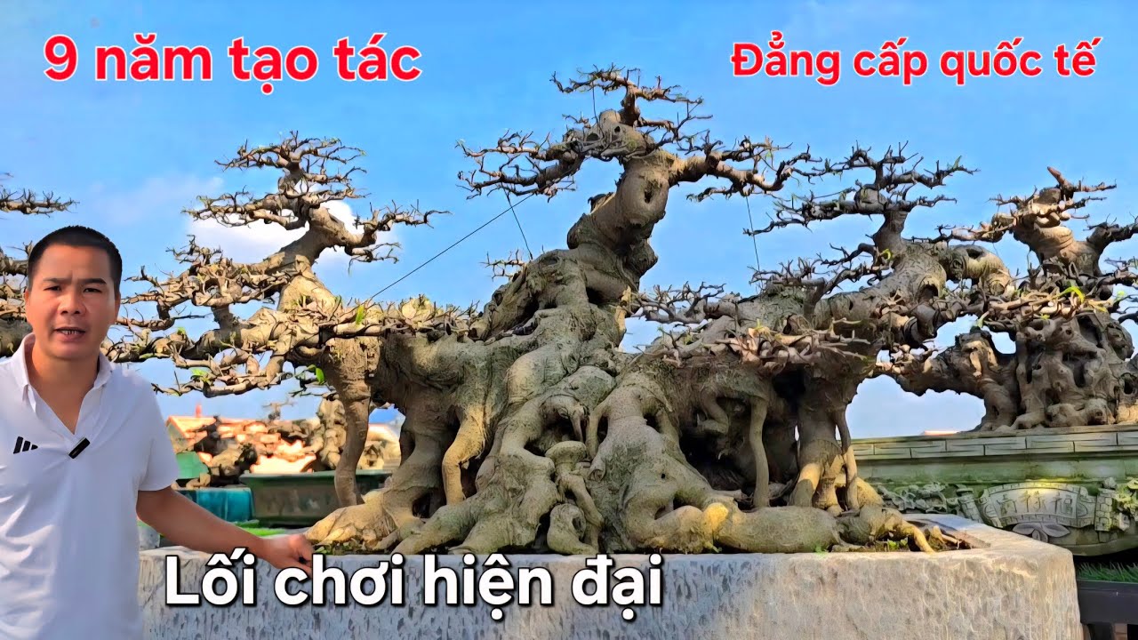 Mãn nhãn vườn cây đẳng cấp quốc tế của Hà Nem . Xem quên lối về !..