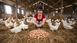 Download Lagu [TIMELAPSE] Harvest Lots of Eggs \u0026 Chickens | Chicken Farm to Countryside Market MP3
