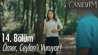 Ömer, Ceylan'ı vuruyor! - Canevim 14. Bölüm