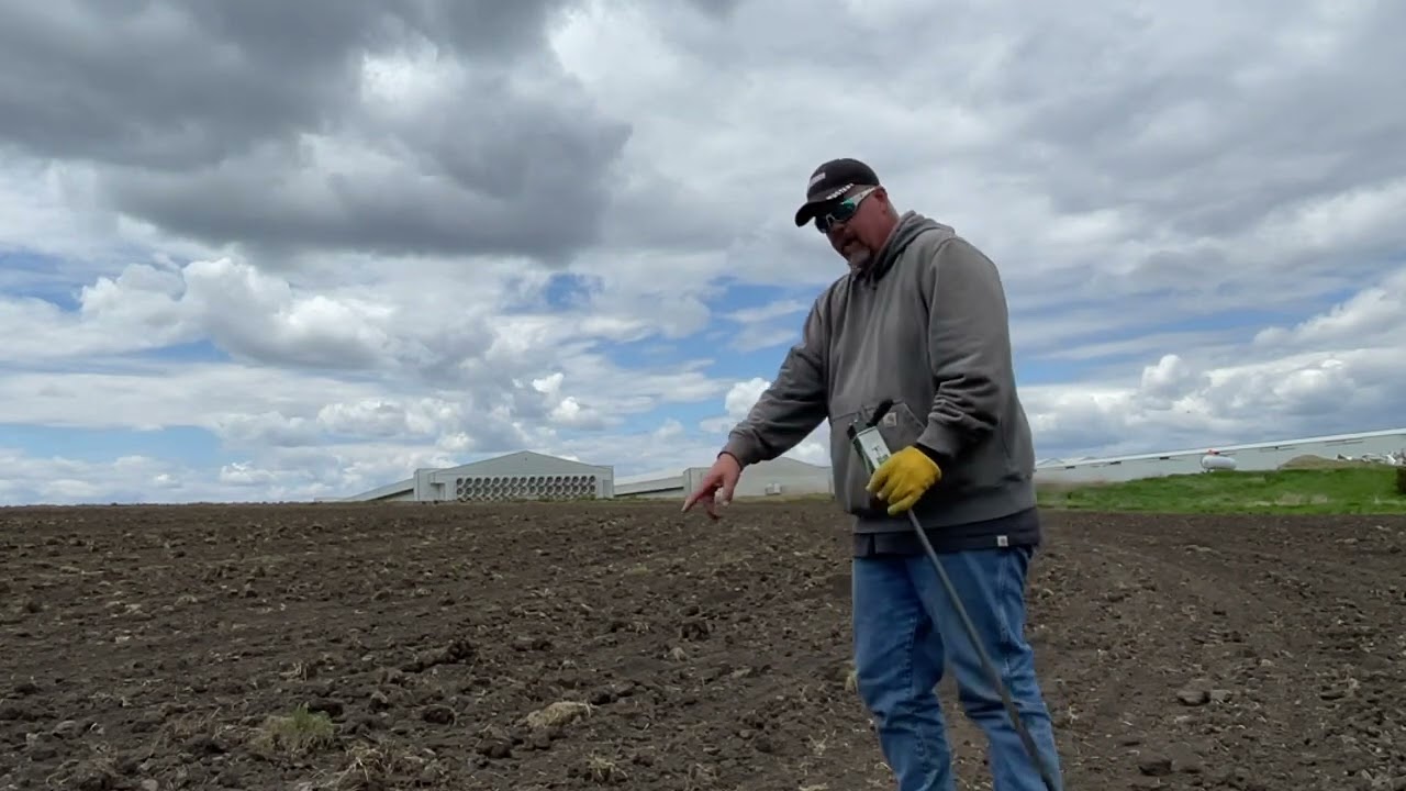 Gopher bait for the farm (How to get rid of gophers)