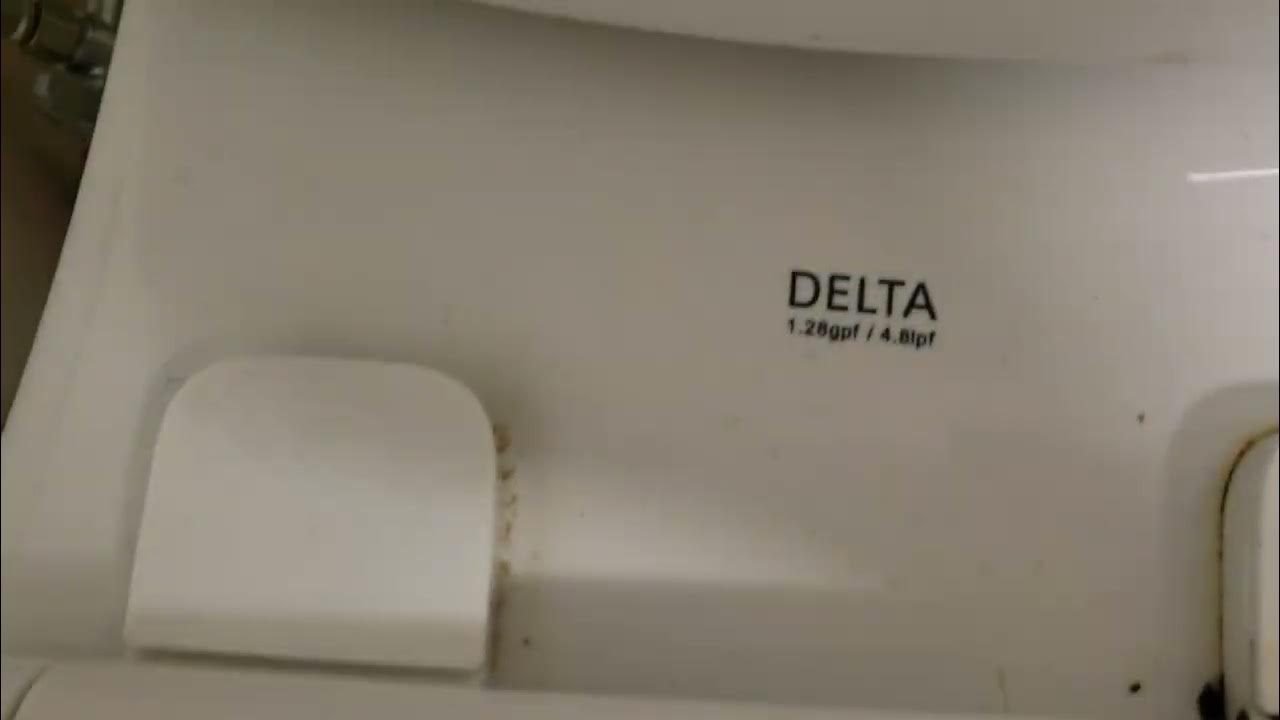 Delta foundations toilet YouTube
