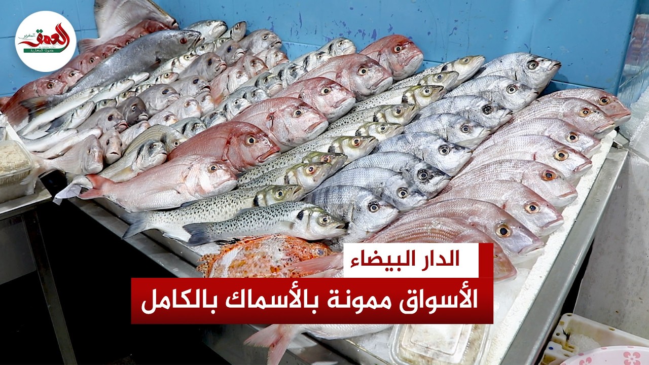 مندوب الصيد البحري بالبيضاء: الأسواق ممونة بالكامل بالأسماك رغم اضطراب حالة البحر وقساوة المناخ
