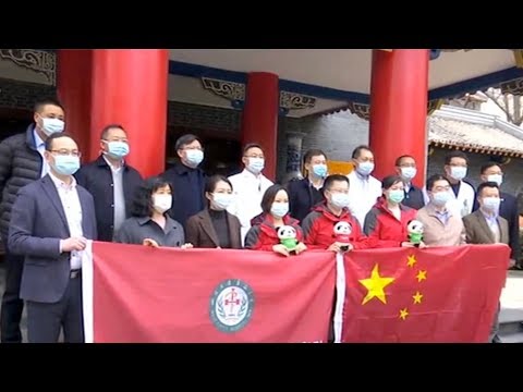 China sends special medical team to Italy