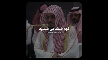 تلاوة عطرة... #اكسبلور #كتب #فوائد #تيك_توك #لايك #العلم #ترند #المصحف #القرآن_الكريم #القرآن