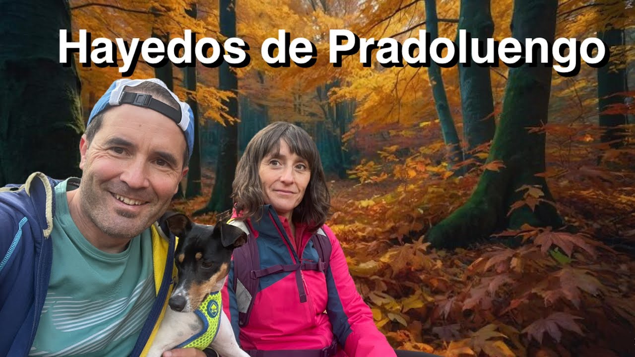 Hayedos de Pradoluengo (Burgos)