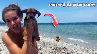 RESCUED PUPPY GOES TO THE BEACH FOR THE FIRST TIME! WILL SHE SWIM?!