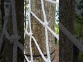 strong net #4u #fyp #tying #diy #handmade #rope #knotskill #tips #ideas #camping #outdoor #Bowline