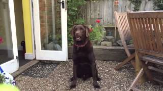 iPhone 6 slow-mo at 240 fps