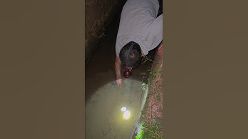 Soi cua đêm về nấu bữa cơm ở quê cùng hai bố con