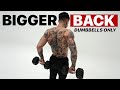 10 Min Complete Back Workout Dumbbells ONLY (Follow Along)