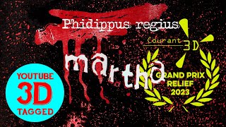 martha - phidippus regius - YouTube 3D