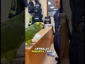 el perico dice la verdad