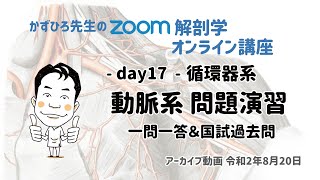 zoom解剖学 day17 循環器系 - 動脈系 一問一答