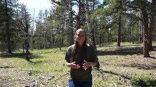 Molly Dr Lot #3, Conifer CO