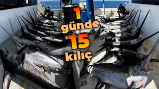 1 Günde 15 Kiliç Yakaladik, Sezon Rekoru 206.250 Tl Kazandik