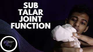 SUBTALAR JOINT FUNCTION(ANKLE JOINT BIOMECHANICS)Physiotherapy Tutorials