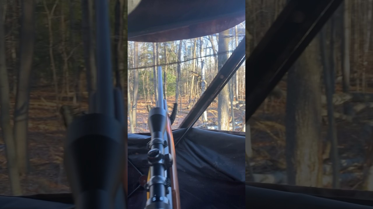 Opening Morning of Rifle Season 