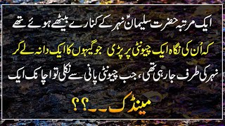 Allah Ki Qudrat ka Karishma | Hazrat Suleman ka Waqia | Islami Waqia | Islamic Urdu PAKISTAN |