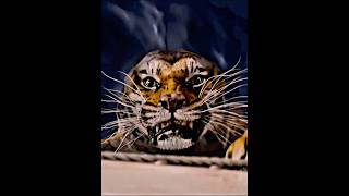 He Ultimately Chose Love