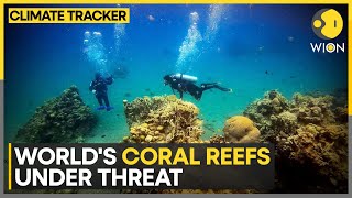 Coral reefs suffer fourth global bleaching event | WION Climate Tracker