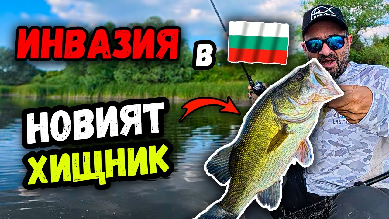 Американски БАС в България 2025! ВСИЧКО, което трябва да знаеш за риболова на БЛЕК БАС