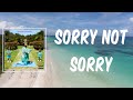 SORRY NOT SORRY (Lyrics) - DJ Khaled