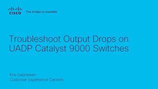 Troubleshoot Output Drops on UADP Catalyst 9000 Switches screenshot 5