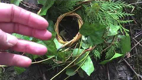 Gathering English Ivy