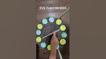 Junk food and Healthy food school project, EVS TLM for class 1 to 5, TLM for primary school, EVS TLM